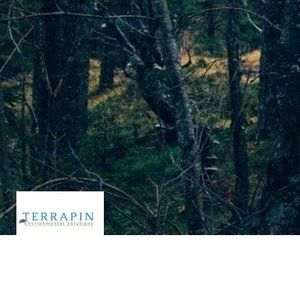 Meet your Posher, Lynn